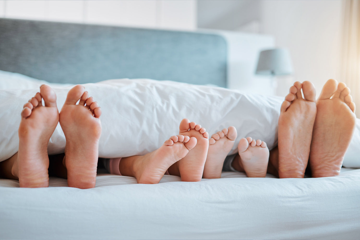 Podiatry Padding and Sheeting