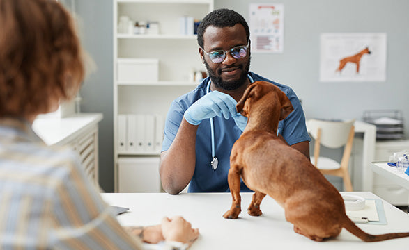 Buy Veterinary Urogenital from Medisave