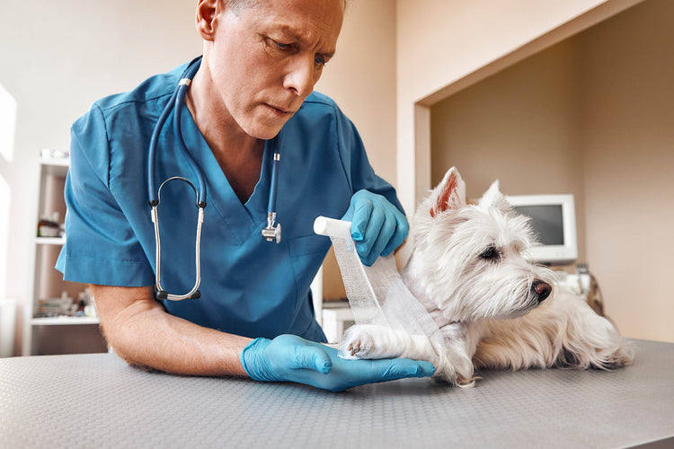 Buy Veterinary Bandages & Tape from Medisave