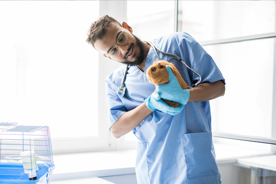 Veterinary Examination Gloves