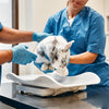 Veterinary Scales