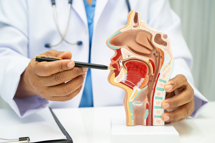 Buy ENT Instruments & Accessories from Medisave