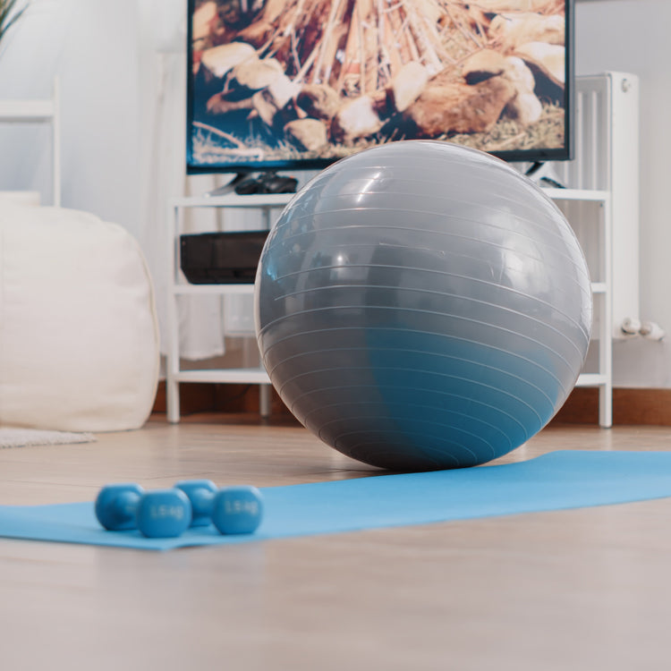 Buy Exercise Balls from Medisave