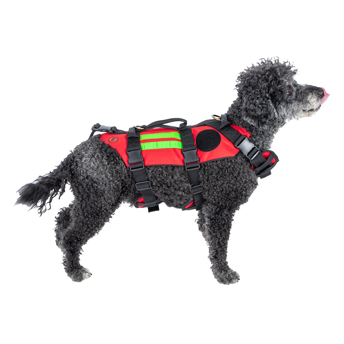 RESCUE Canine Harness for Rescue Dogs - 