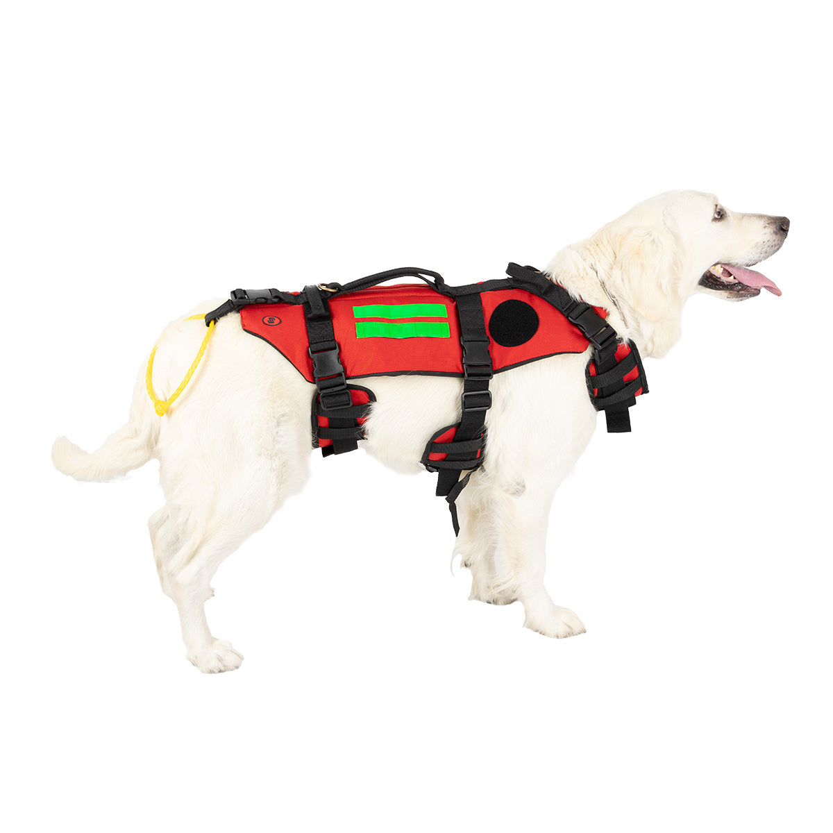 RESCUE Canine Harness for Rescue Dogs - 
