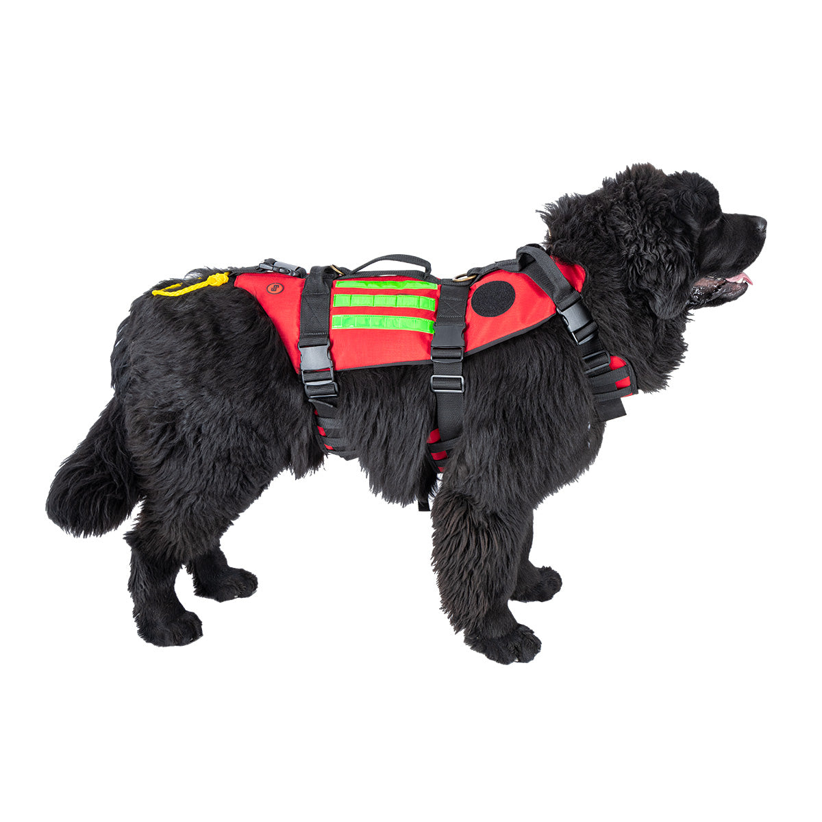 RESCUE Canine Harness for Rescue Dogs - 