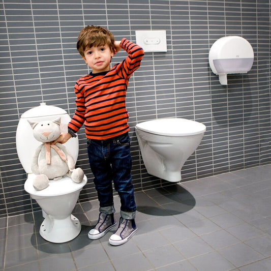 Tork Jumbo Toilet Roll Advanced 1 Ply - 110162 - Case of 6 x 500m - Tork