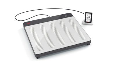 Seca 651 Flat Scales - SECA