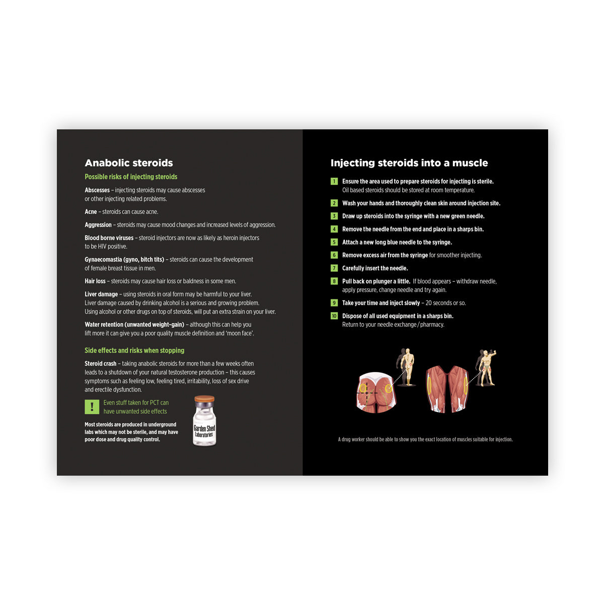 Steroid 12 Week Cycle Kit- 12 Syringes - Exchange Supplies