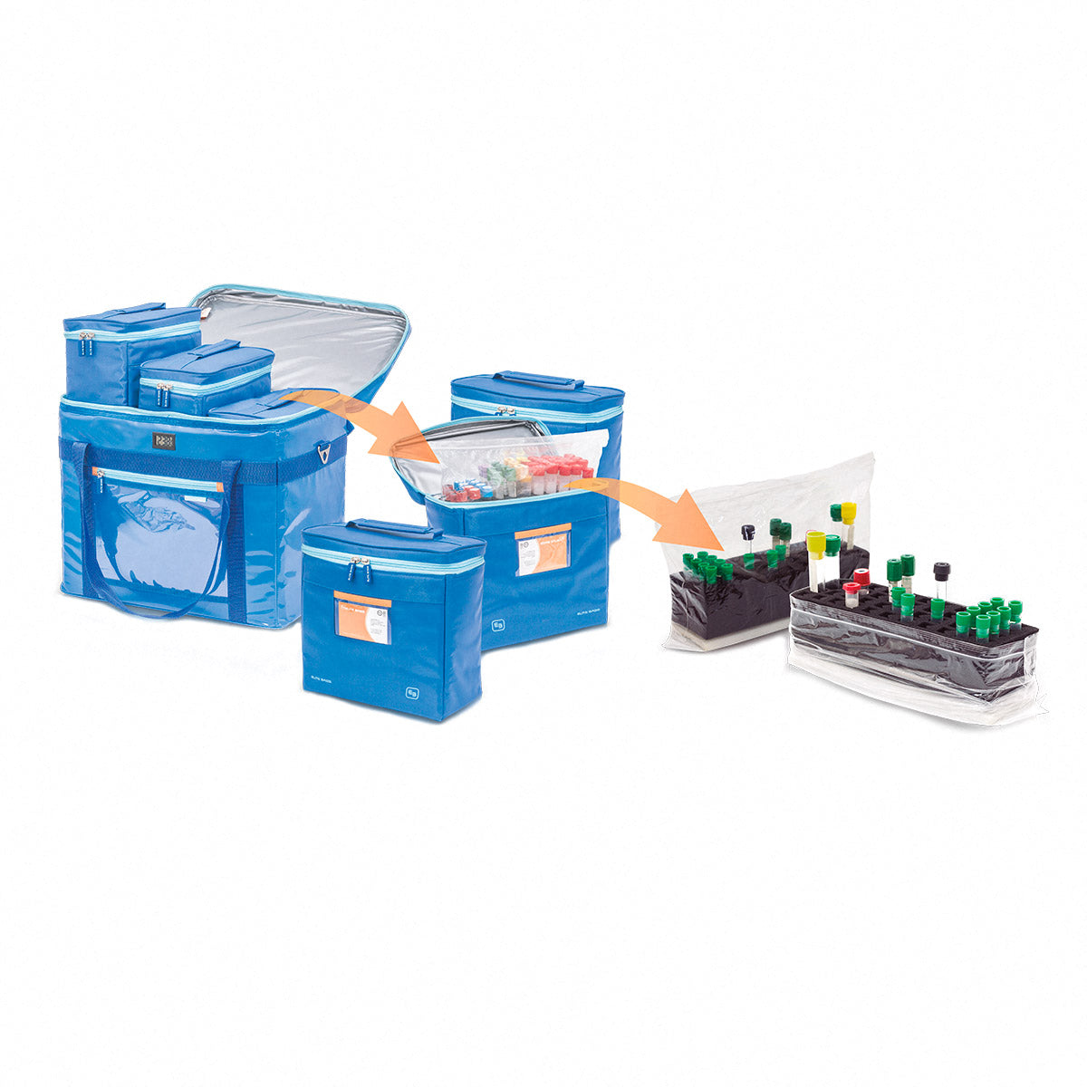 Elite COOL's Isothermal Bag for Sample Transportation - 