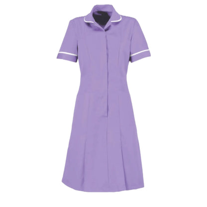 Classic Collar Dress - Zip Front - Contemporary Cut - 