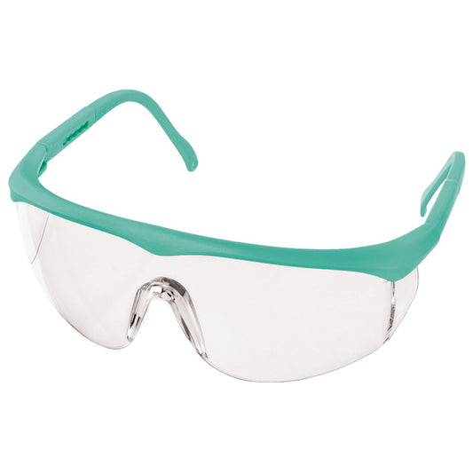 1 Piece Eye Wear Protection: Teal