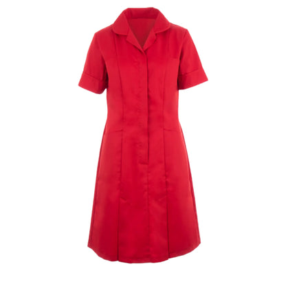Classic Collar Dress - Zip Front - Contemporary Cut - 