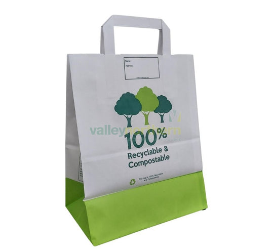 ProPac paper Doctor's carrier (h) 400 x (w) 320 x (g) 110mm - Pack 250 - Valley Northern