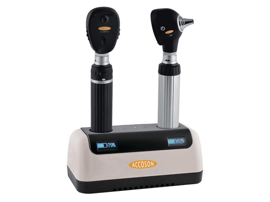 AccoView Plus Charging Station - 