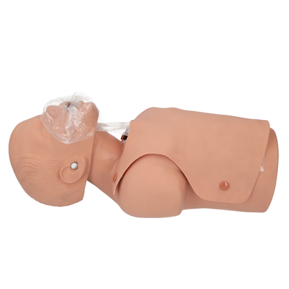 Child CPR Torso, 5 -year old - CLEARANCE