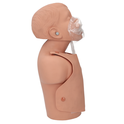 Child CPR Torso, 5 -year old - CLEARANCE