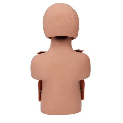 Child CPR Torso, 5 -year old - CLEARANCE