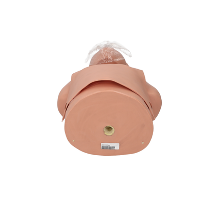 Child CPR Torso, 5 -year old - CLEARANCE