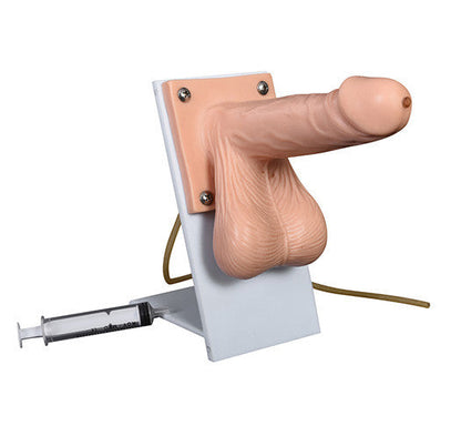 Condom Training Model - 