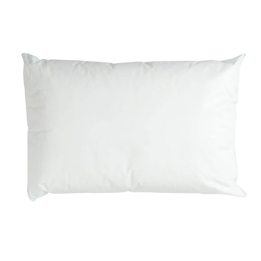 Dri-Shield Wipe Clean Polypropylene Pillow - Single