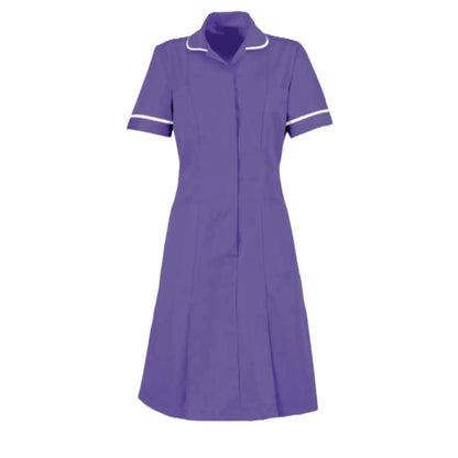 Classic Collar Dress - Zip Front - Contemporary Cut - 
