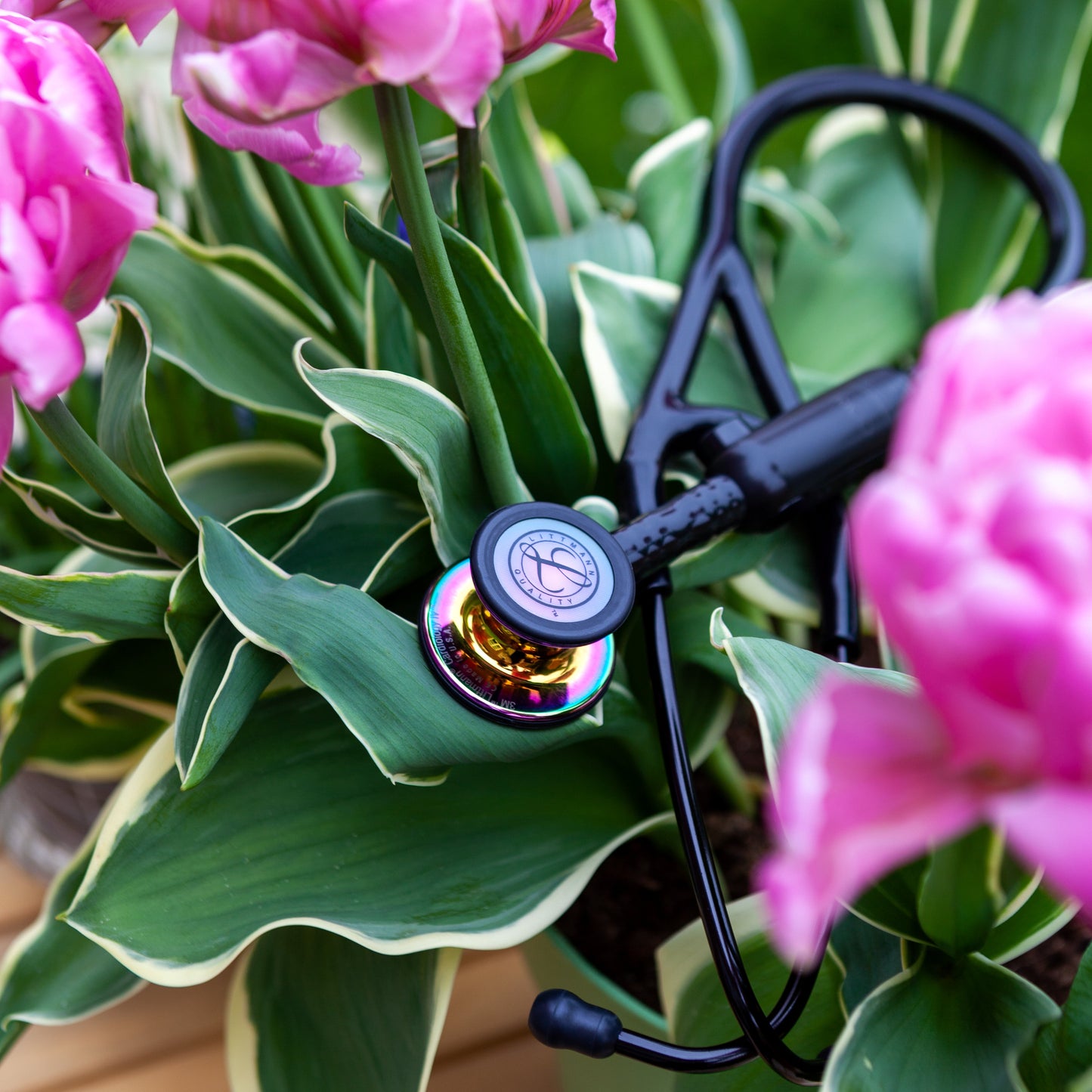 Littmann CORE Digital Stethoscope 8572 - High Polish Rainbow - Over Engraved - Littmann Stethoscopes