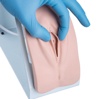 Catheterization Simulator Set