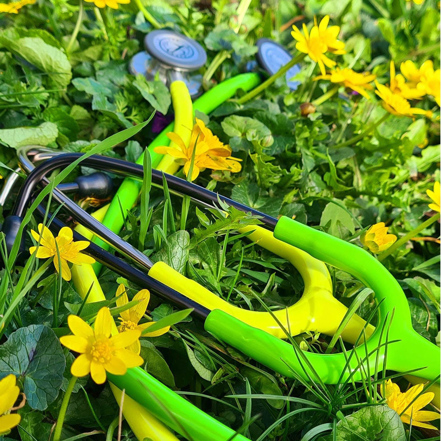 Littmann Classic III Monitoring Stethoscope: Lemon Lime 5839 - Freshers Voucher - Littmann Stethoscopes