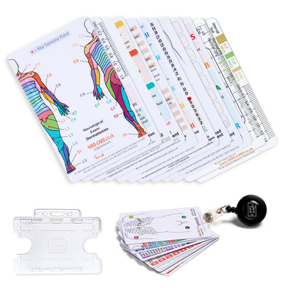 Set of 12 Essential Lanyard Cards (ID Card Size) with Holder & Retractable Reel - 