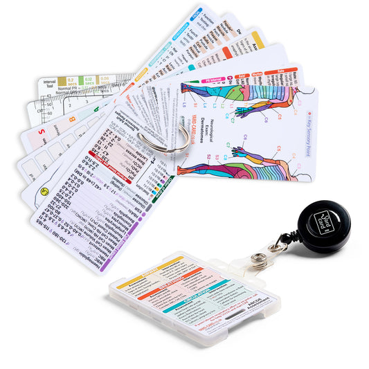 Set of 12 Essential Lanyard Cards (ID Card Size) with Holder & Retractable Reel - 