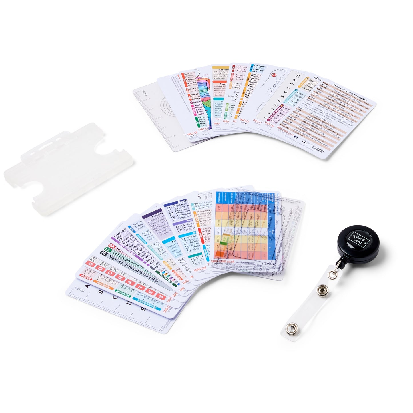 Set of 12 Essential Lanyard Cards (ID Card Size) with Holder & Retractable Reel - 