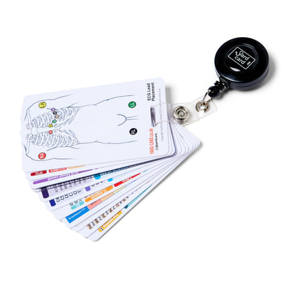 Set of 12 Essential Lanyard Cards (ID Card Size) with Holder & Retractable Reel - 