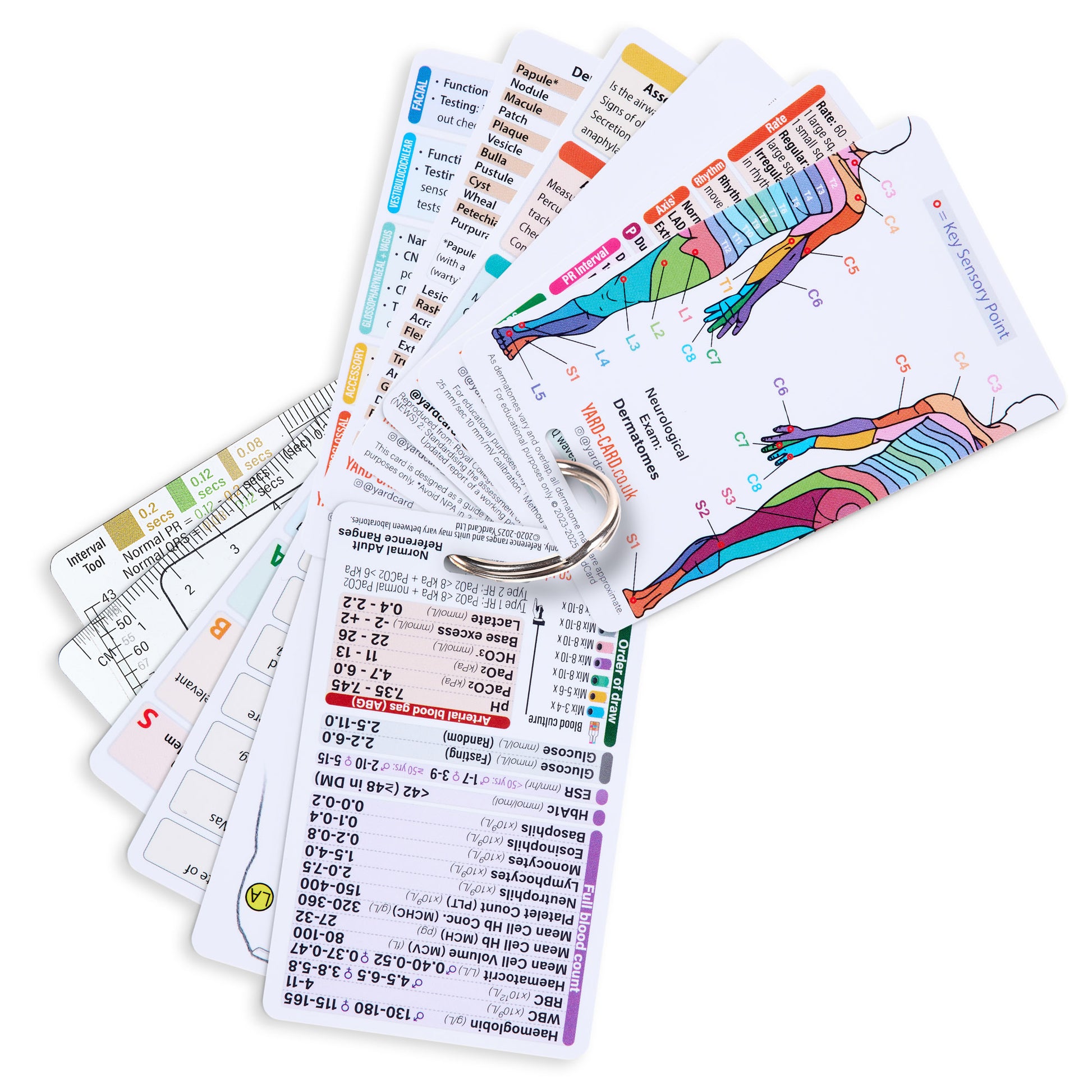 Set of 12 Essential Lanyard Cards (ID Card Size) with Holder & Retractable Reel - 