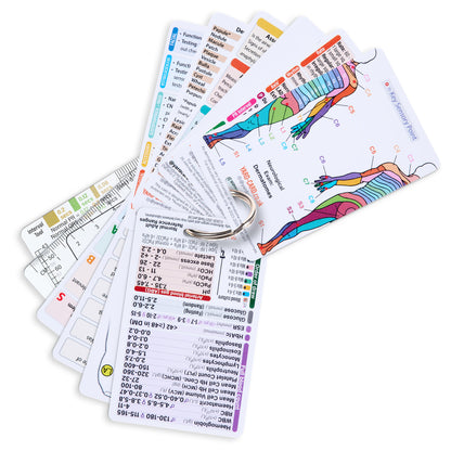 Set of 12 Essential Lanyard Cards (ID Card Size) with Holder & Retractable Reel - 