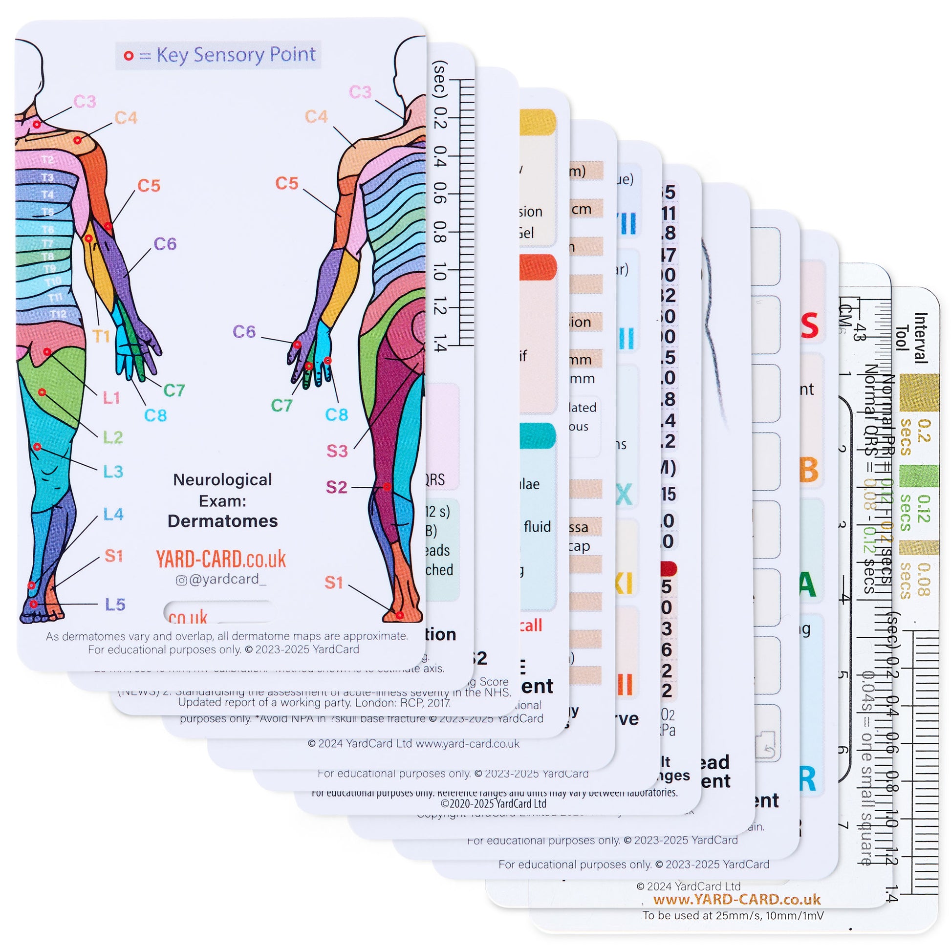 Set of 12 Essential Lanyard Cards (ID Card Size) with Holder & Retractable Reel - 