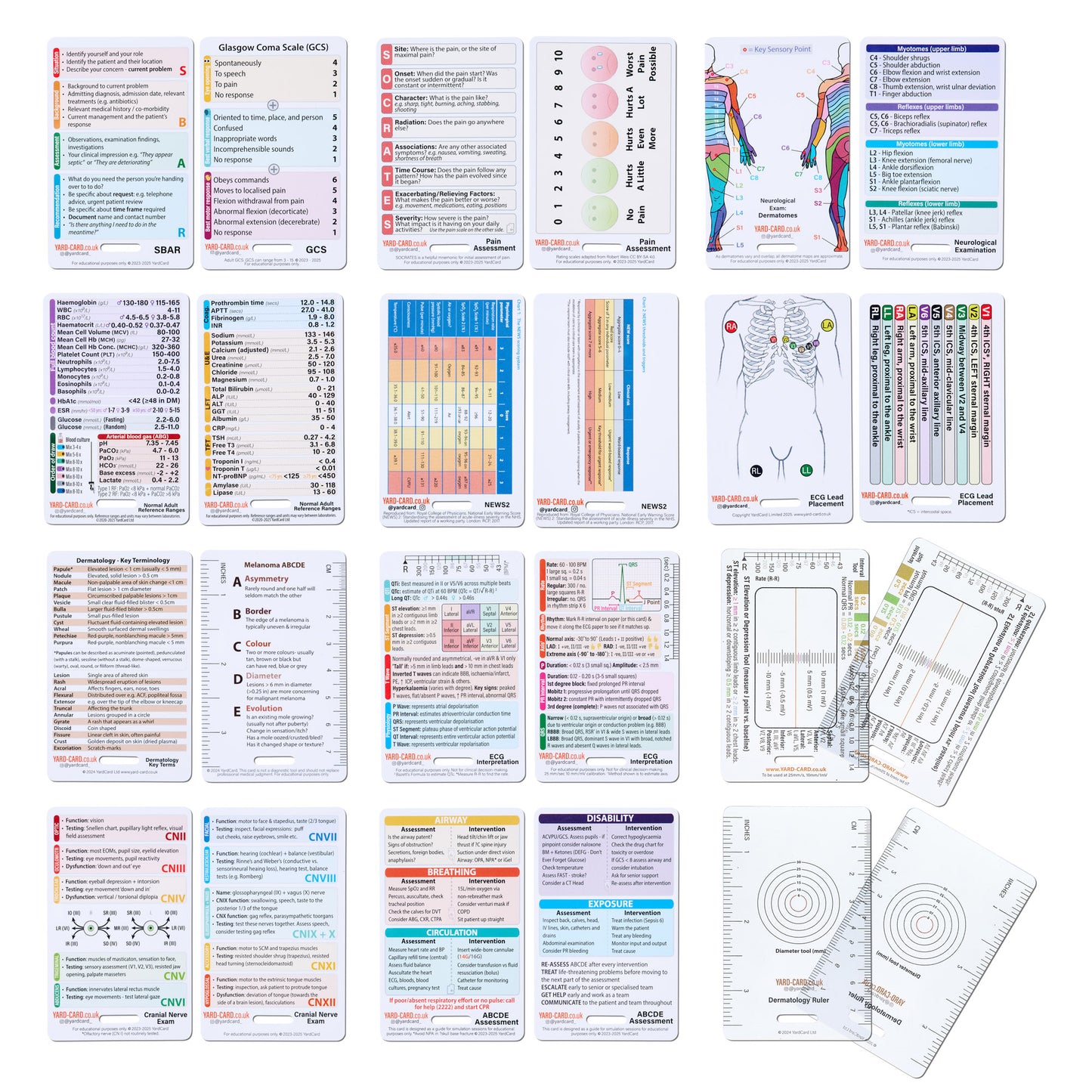 Set of 12 Essential Lanyard Cards (ID Card Size) with Holder & Retractable Reel - 