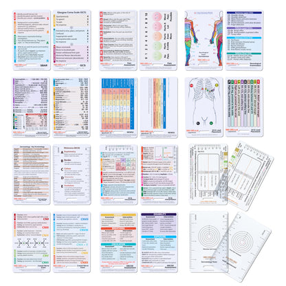 Set of 12 Essential Lanyard Cards (ID Card Size) with Holder & Retractable Reel - 