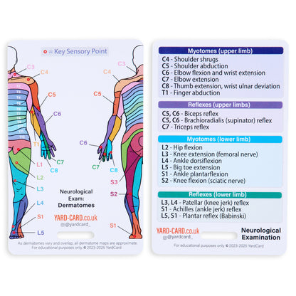 Set of 12 Essential Lanyard Cards (ID Card Size) with Holder & Retractable Reel - 