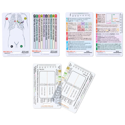 Set of 12 Essential Lanyard Cards (ID Card Size) with Holder & Retractable Reel - 