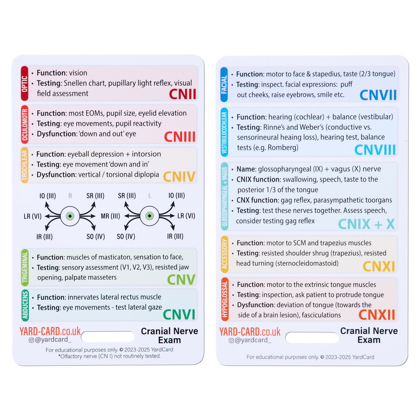 Set of 12 Essential Lanyard Cards (ID Card Size) with Holder & Retractable Reel - 