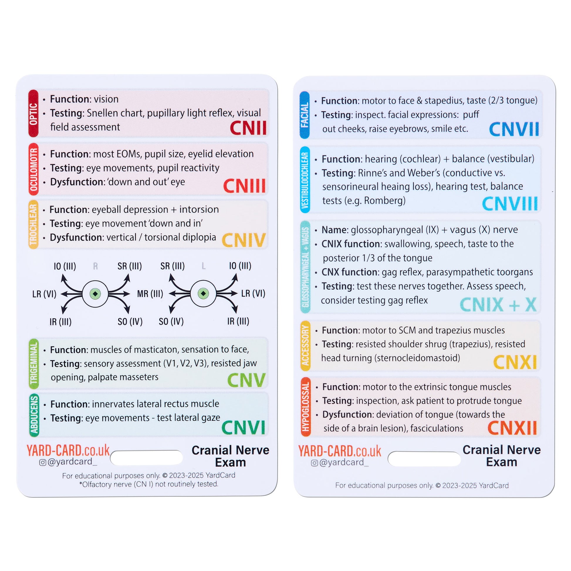Set of 12 Essential Lanyard Cards (ID Card Size) with Holder & Retractable Reel - 