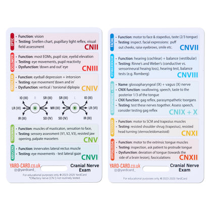 Set of 12 Essential Lanyard Cards (ID Card Size) with Holder & Retractable Reel - 