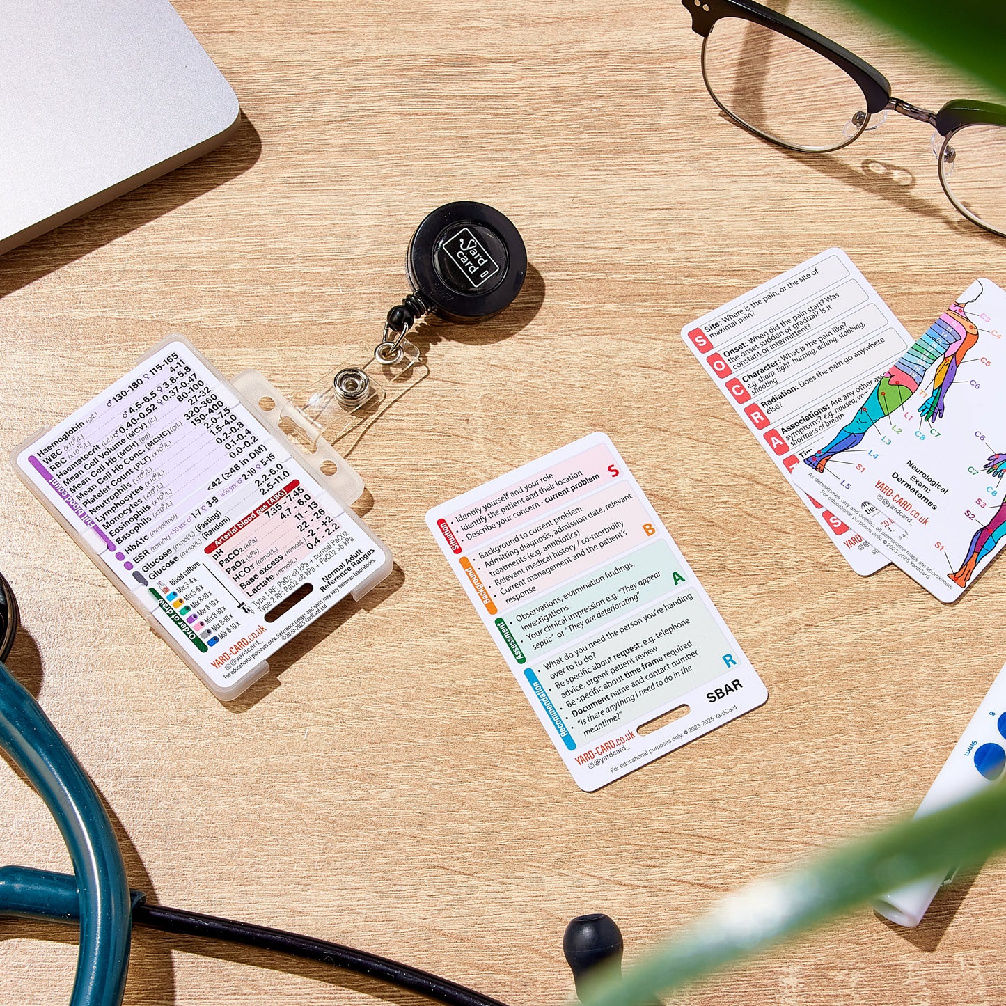 Set of 12 Essential Lanyard Cards (ID Card Size) with Holder & Retractable Reel - 