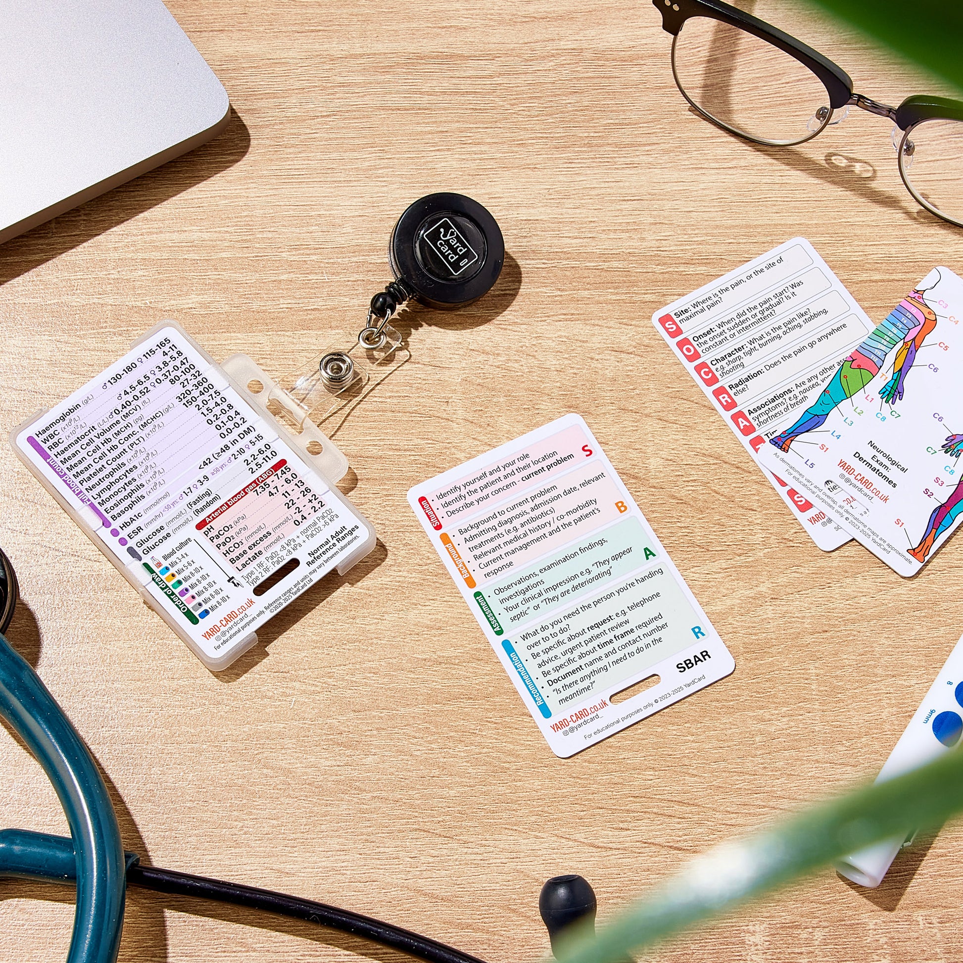 Set of 12 Essential Lanyard Cards (ID Card Size) with Holder & Retractable Reel - 