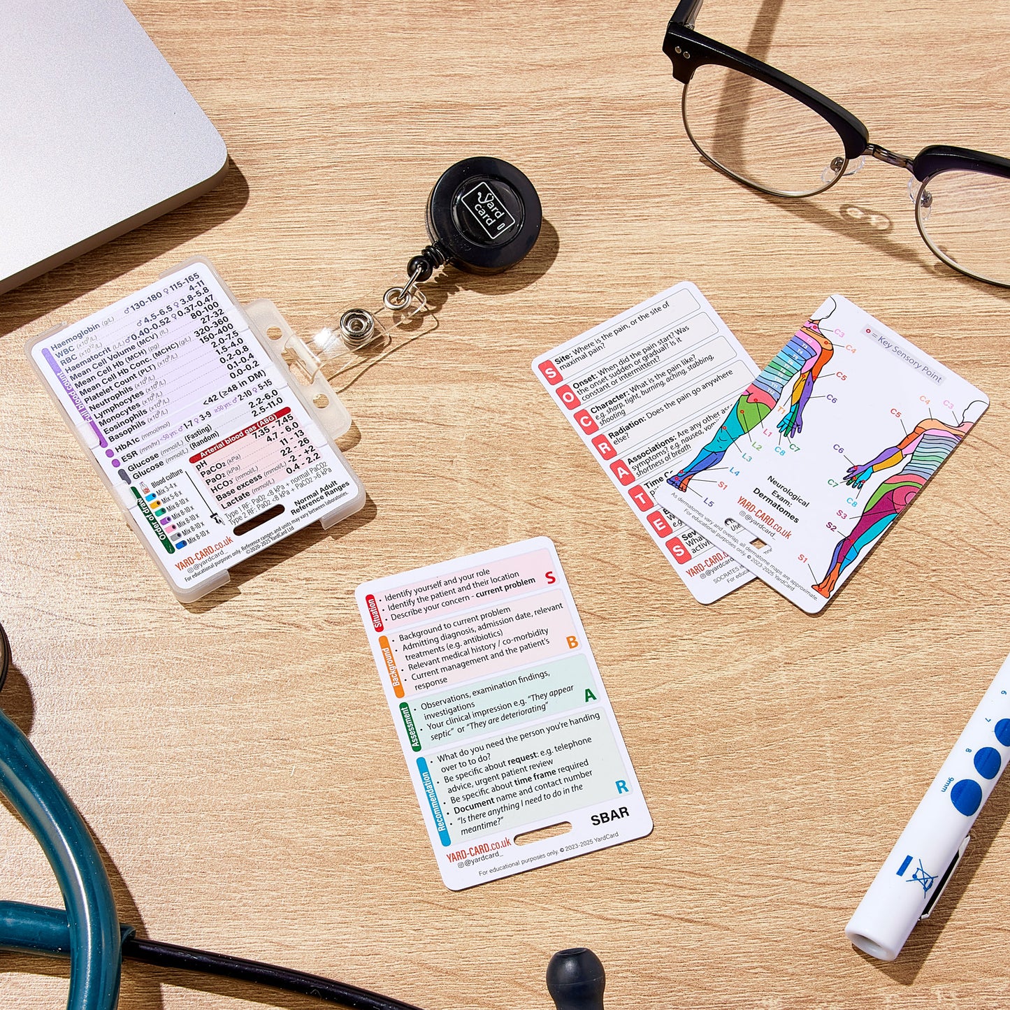 Set of 12 Essential Lanyard Cards (ID Card Size) with Holder & Retractable Reel - 