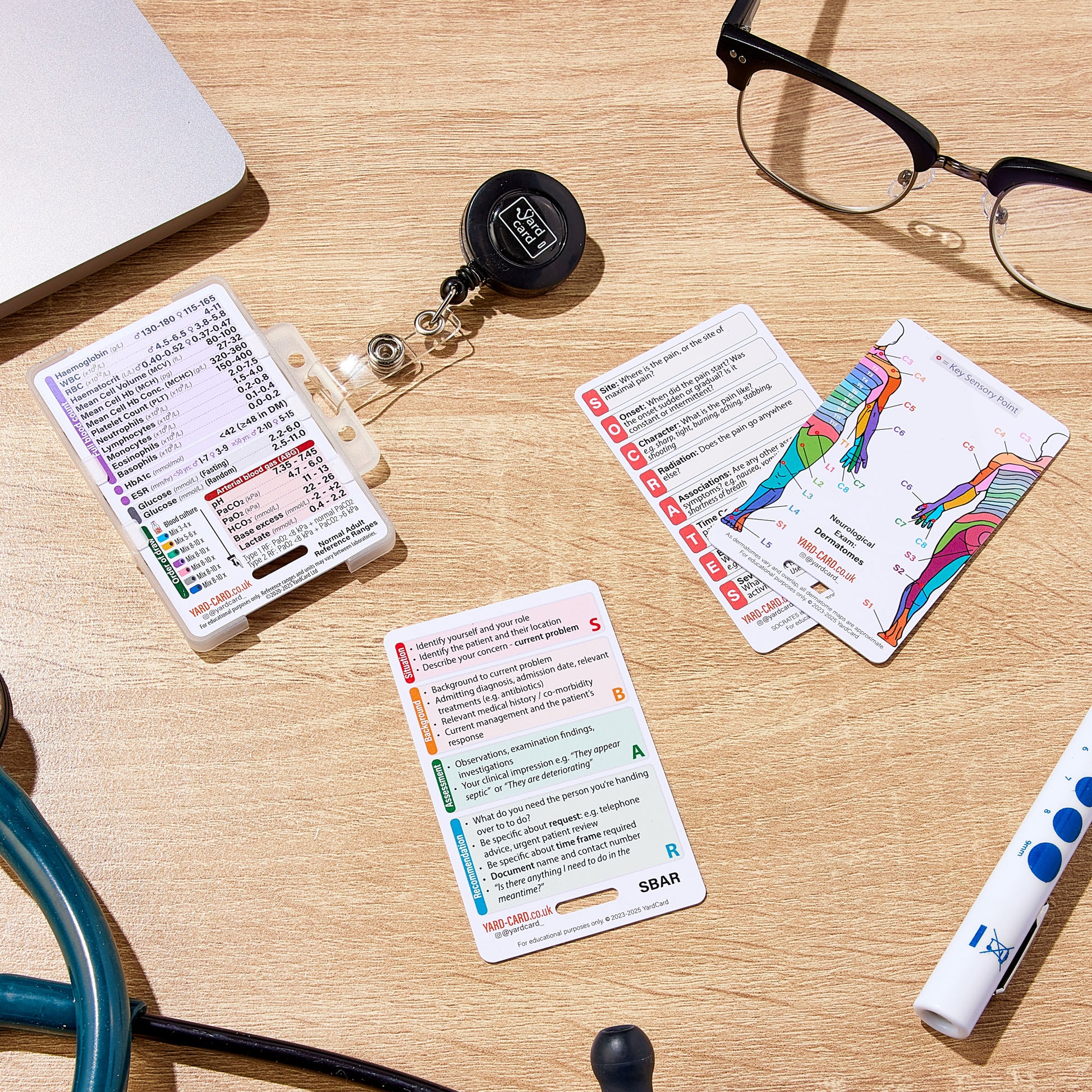 Set of 12 Essential Lanyard Cards (ID Card Size) with Holder & Retractable Reel - 