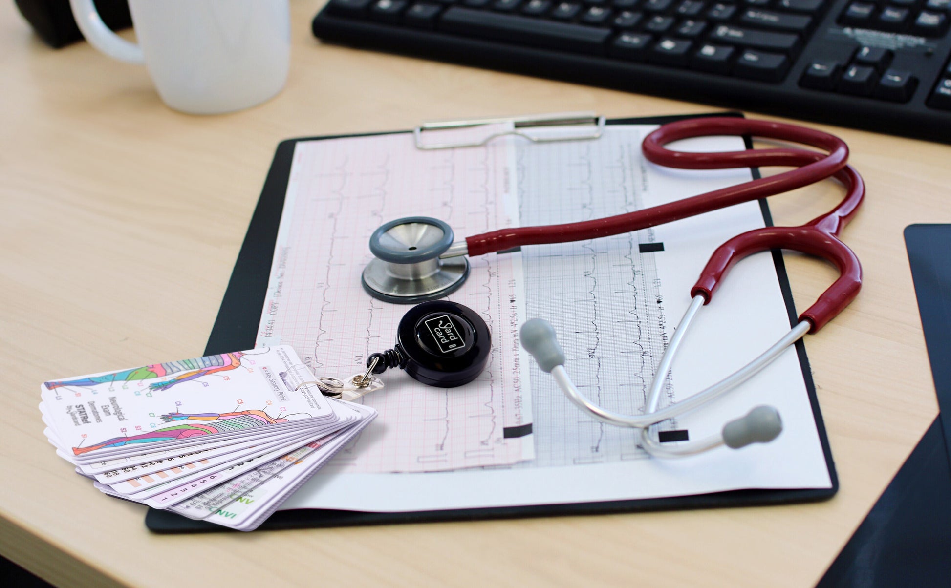 Set of 12 Essential Lanyard Cards (ID Card Size) with Holder & Retractable Reel - 