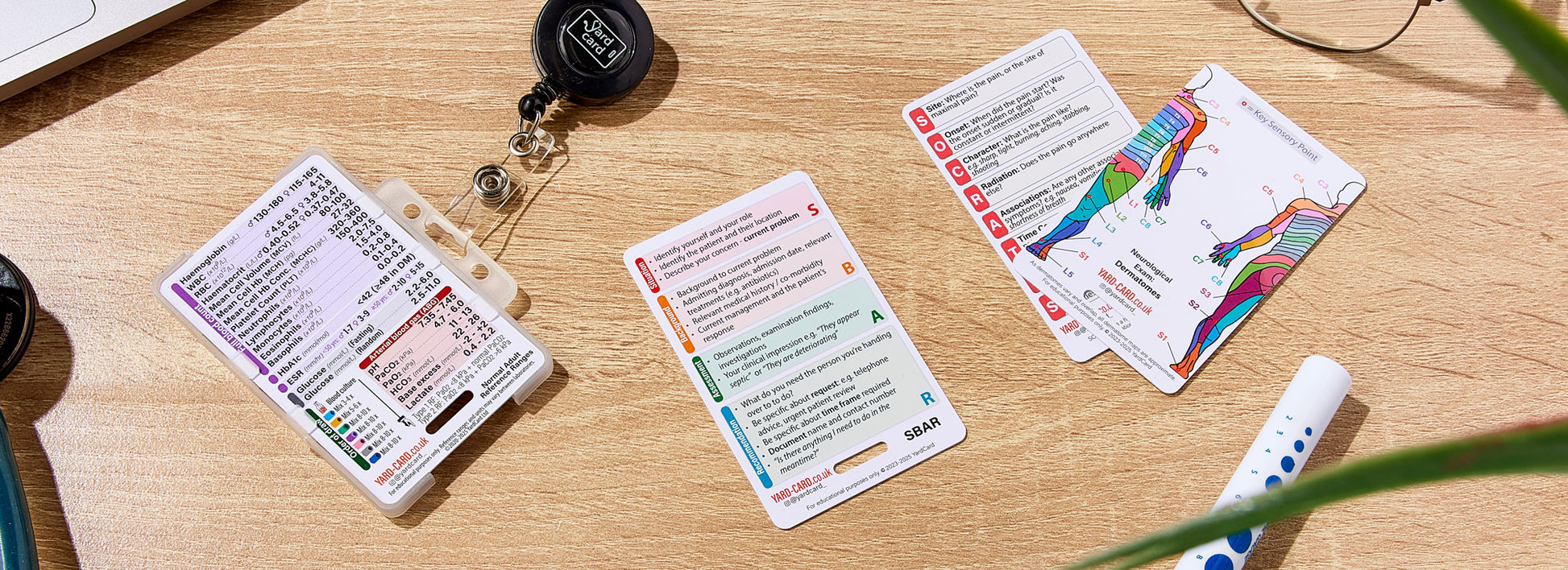 Set of 12 Essential Lanyard Cards (ID Card Size) with Holder & Retractable Reel - 