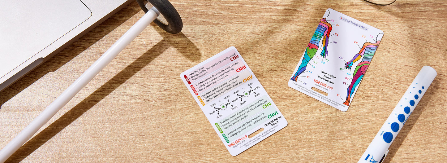 Set of 12 Essential Lanyard Cards (ID Card Size) with Holder & Retractable Reel - 